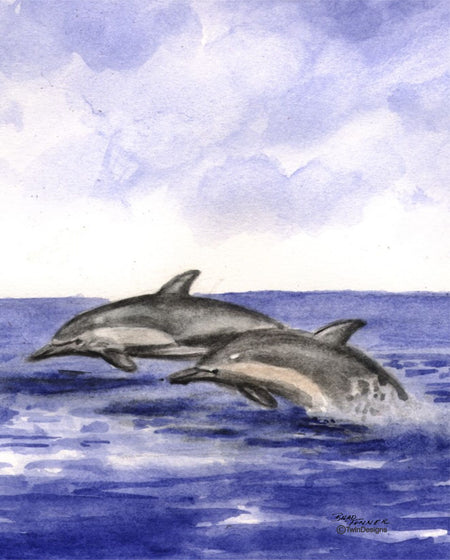 "Two Dolphins" Boxed Note Cards Original Watercolor by Brad Tonner