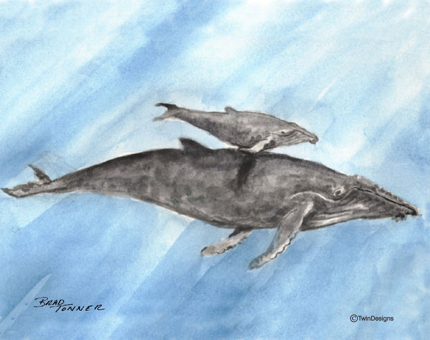 "Humpback Whale" Boxed Note Cards Original Watercolor by Brad Tonner