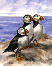 "Puffins" Boxed Note Cards Original Watercolor by Brad Tonner