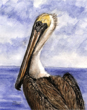 "Pelican" Boxed Note Cards Original Watercolor by Brad Tonner