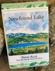 "Iconic Newfound Lake" Soap Original Watercolor by Brad Tonner