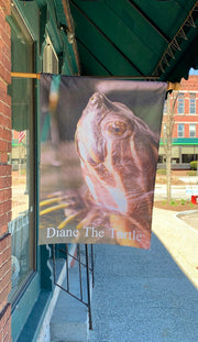 "Diane The Turtle" House Flag Original Photograph by Jim Tonner