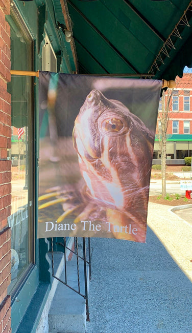 "Diane The Turtle" House Flag Original Photograph by Jim Tonner