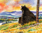 Bear Sunset Note Cards