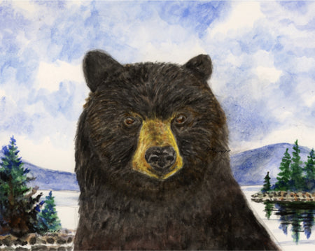 Bear at the Lake Note Cards