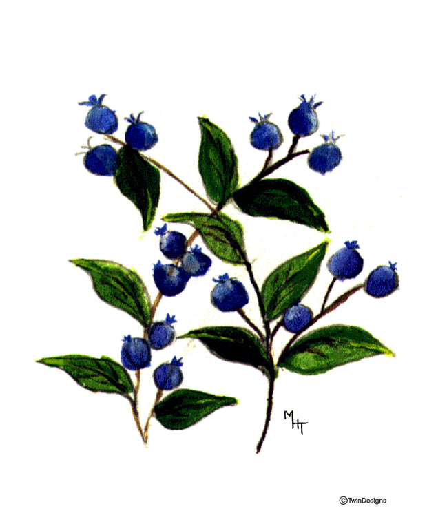 Blueberry Note Cards