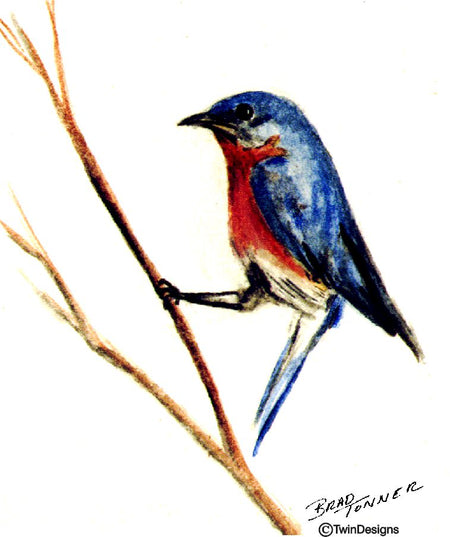 Bluebird  on Branch 11oz Ceramic Mug Original Watercolor by Brad Tonner