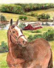 Horse Farm Note Cards