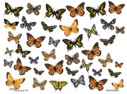 Butterfly Collage Note Cards