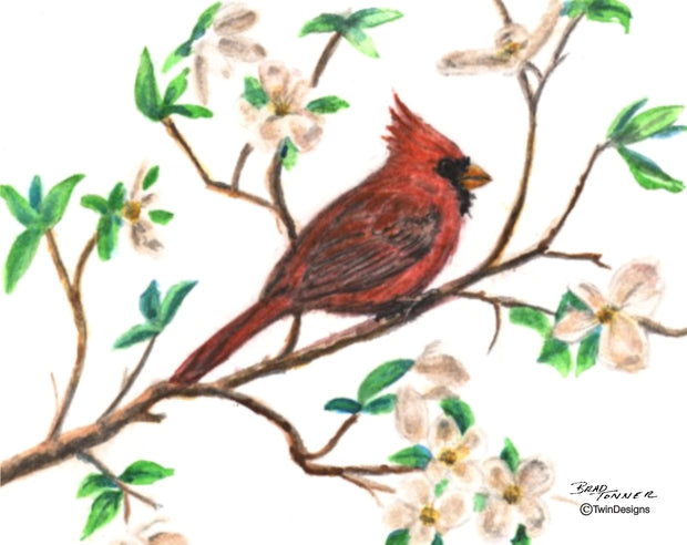 Cardinal in a Dogwood Tree Note Cards