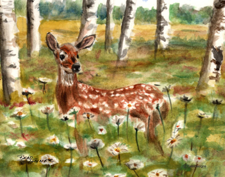 Deer Note Cards