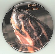 Diane the Turtle Button