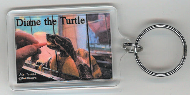 Diane the Turtle Eating Strawberry Key Chain