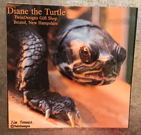 Diane the Turtle Magnet