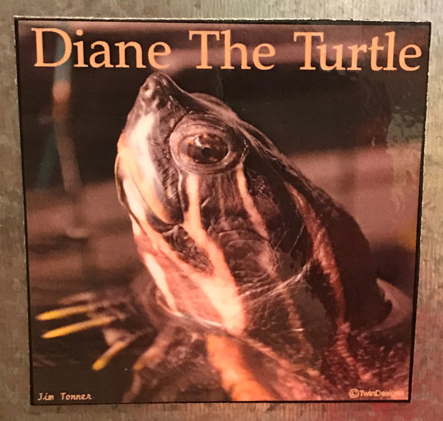 Diane the Turtle Magnet