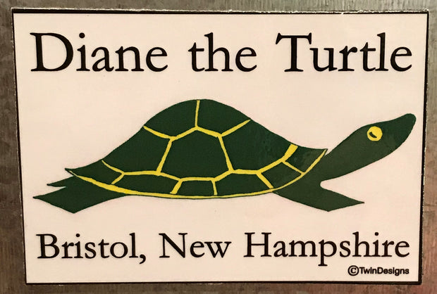 Diane the Turtle Logo Magnet