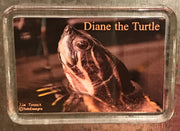 Diane the Turtle Lucite Magnet