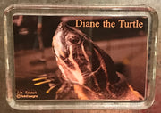Diane the Turtle Large Lucite Magnet