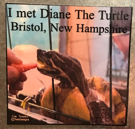 I Met Diane the Turtle Magnet