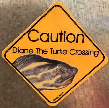 Caution Turtle Crossing Magnet