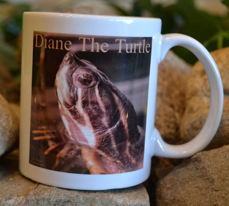 Diane the Turtle Mug