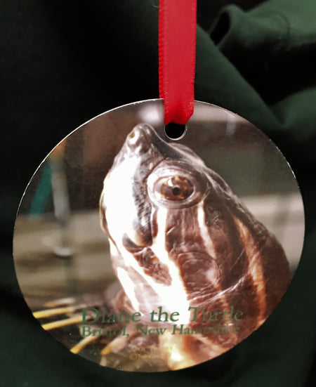 Diane the Turtle Metal Ornament