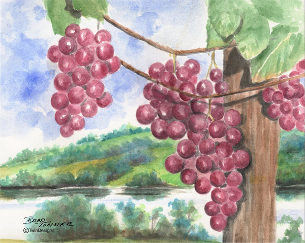 Grapes Note Cards