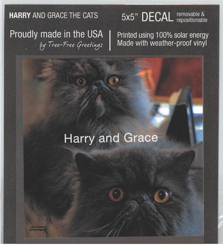 Harry and Grace the Cats Decal
