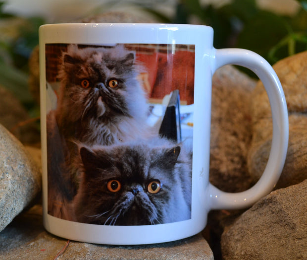 Harry and Grace the Cats Mug