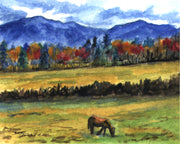 Horse in the Mountains Note Card
