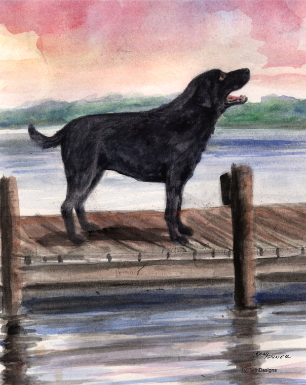Dog on the Dock Note Cards