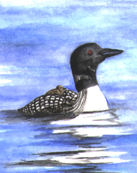 Loon with Baby Note Cards