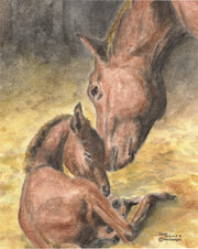 Mare and Colt Note Cards