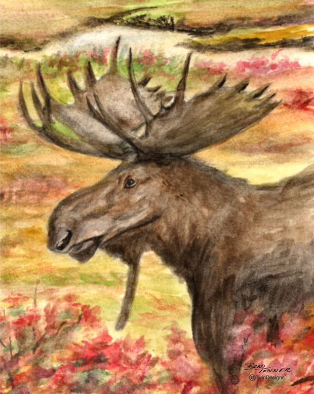 Moose Note Cards