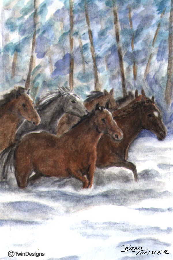 "Wild Horses" Note Cards Original Watercolor by Brad Tonner