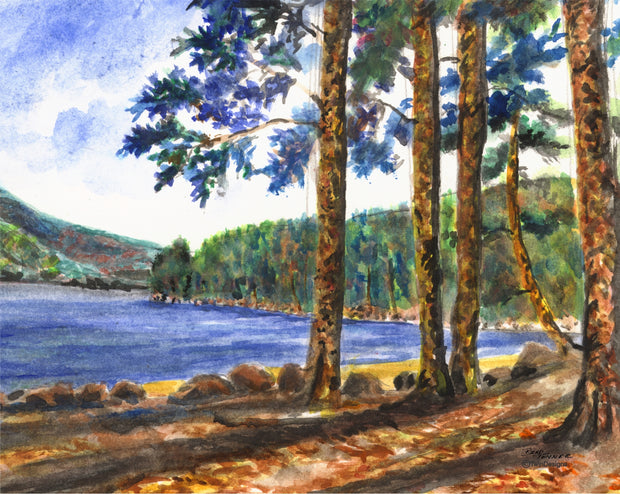 Wellington Newfound Lake Note Cards