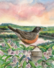 Early Morning Robin Note Cards