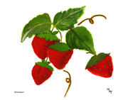 Strawberries Note Cards