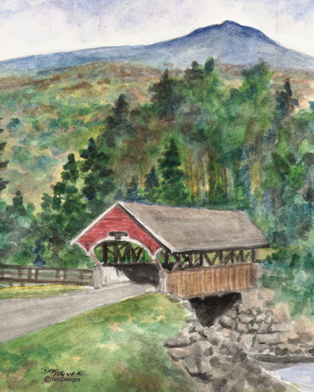 Summer Flume Covered Bridge Note Cards