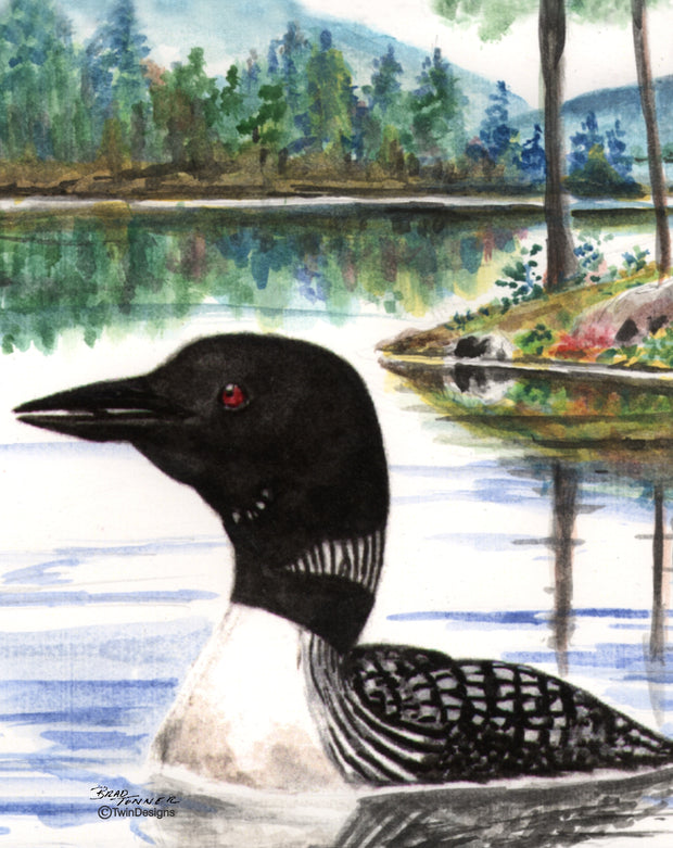 Summer Loon Note Cards