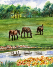 Three Horses Note Cards