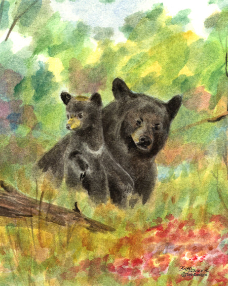 Two Bears Note Cards