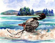 Water Skiing Loon Note Cards