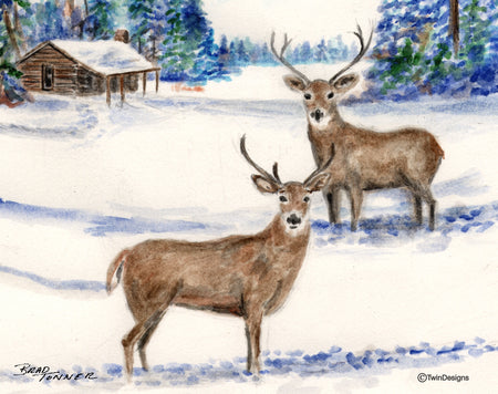 Winter Deer Note Cards