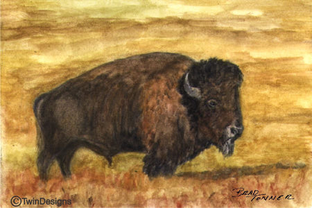 "Buffalo" Note Cards Original Watercolor by Brad Tonner