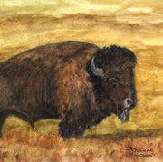 "Buffalo" Ceramic Trivet Original Watercolor by Brad Tonner