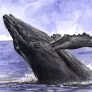 "Whale" Ceramic Trivet Original Watercolor by Brad Tonner